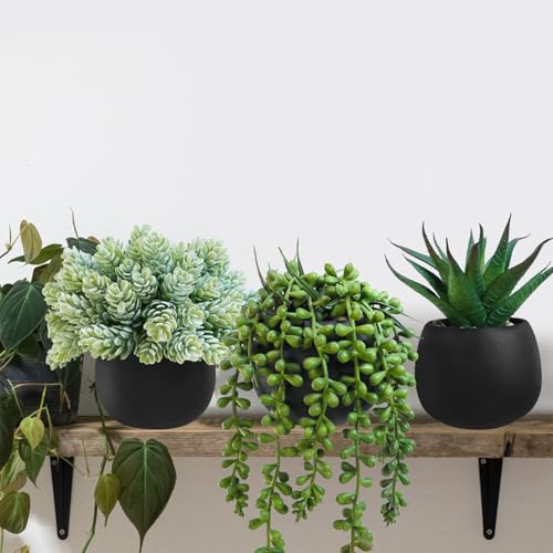 Winlyn Set of 3 Artificial Succulent Plants in Black Concrete Pots Faux Aloe Hops String of Pearls Potted Plants Small Fake Plants Desk Plants for Home Office Desk Kitchen Bathroom Shelf Windowsill - color: Black Pots