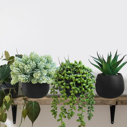 Winlyn Set of 3 Artificial Succulent Plants in Black Concrete Pots Faux Aloe Hops String of Pearls Potted Plants Small Fake Plants Desk Plants for Home Office Desk Kitchen Bathroom Shelf Windowsill - color: Black Pots