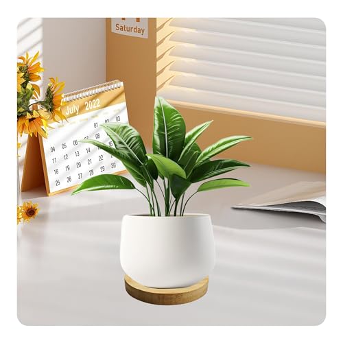 6Pcs 3” Bamboo Plant Saucer, Round Pot Tray for Indoor Planters, Succulent Holder Drainage Tray, Versatile Coaster Set for Home Office Decor - size: 3”