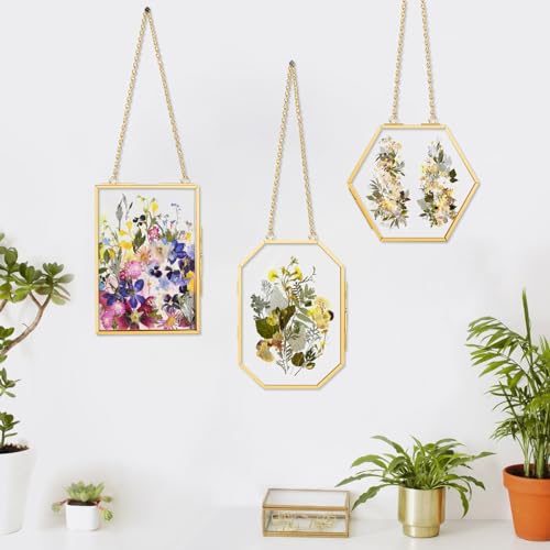 3 Pcs Pressed Flower Frames with Tweezers, Wall Hanging Double Glass Frames with Metal Chain for Pressed Dried Flowers Plants, Golden - color: Gold-3