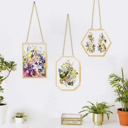 3 Pcs Pressed Flower Frames with Tweezers, Wall Hanging Double Glass Frames with Metal Chain for Pressed Dried Flowers Plants, Golden - color: Gold-3