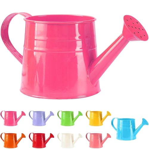 Tinplate Watering Kettle 1L, Mini Metal Watering Can with Long Spout and Handle, Vintage Flower Sprinkling Can for Indoor Plants, Patio and Garden Use (Deep Pink-B09) - color: Deep Pink-b09