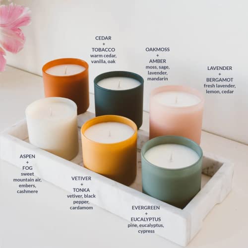 Dignity Series Scented Candle Gift Set - 6 Soy Wax Candles | 35 Hour Burn - Made in the USA Luxury Clean Soy Wax Candles - Long Lasting Colorful Ceramic Jar Candle for Home - 5.3oz - color: Gift Set