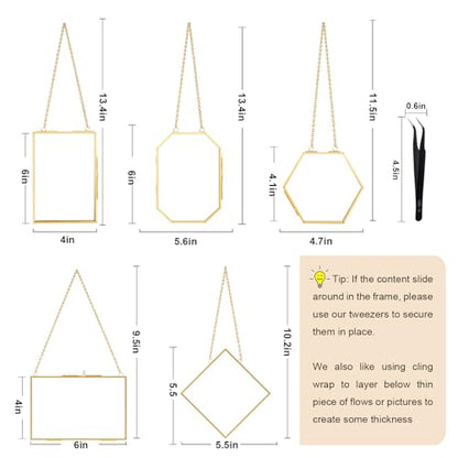 5 Pcs Pressed Flower Frames with Tweezers, Wall Hanging Tabletop Display Double Glass Frames with Metal Chain for Pressed Dried Flowers Plants, Horizontal and Vertical Picture Frame, Golden - color: Gold-5