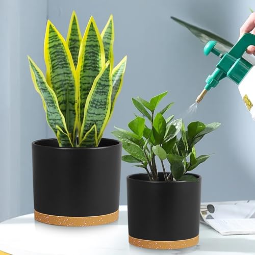 Large Plant Pots Set of 3 – 8", 9", 10" Indoor Flower Pots with Drainage Holes and Saucers, Big Planters for Monstera, Fiddle Leaf Fig, Snake Plant – 5 Colors - color: Black With Brown Base
