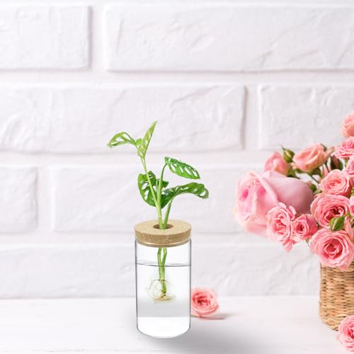 M METERXITY 1 Pack Glass Planter Terrarium with Wooden Cover, Desktop Plant Propagation Station Clear Vase for Hydroponic Plants Propagation/Home Garden Decor/Plant Lover [3.35'' x 5.91''] - size: 3.35'' x 5.91''
