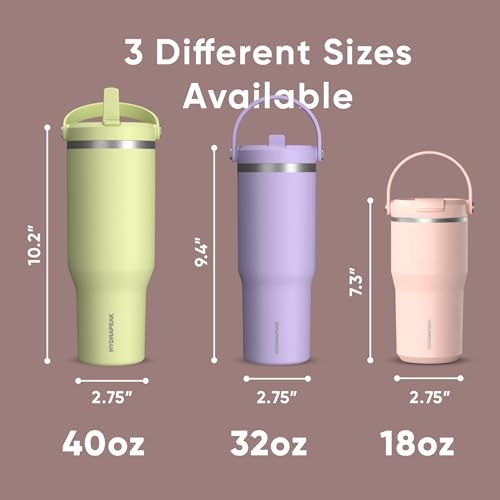 Hydrapeak Nomad 32oz Stainless Steel Insulated Travel Tumbler with Handle & Straw Lid, Leakproof, Cupholder Friendly, Back to School, College Dorm, Gym & Everyday Hydration, Cold 24 Hours (Rosewood) - color: Rosewood
