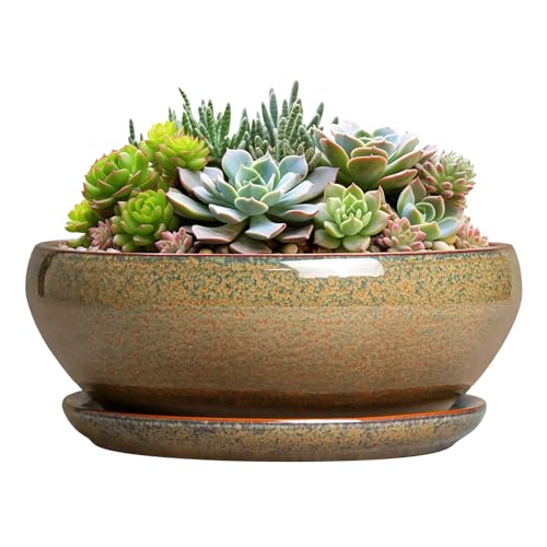 SQOWL Succulent Pots - 8 Inch Ceramic Bonsai Pots, Round Shallow Planter with Drainage Hole and Saucer, Succulent Indoor Planter, Bowl Planters Outdoor, Apartment Decor, Gifts for Women, Brown - color: Speckled-brown, size: 8 Inch