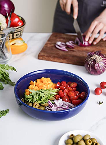 LE TAUCI Pasta Bowls 45 oz, Salad Bowls Set for Serving Soup, Pasta, Noodle, Dinner, Large Kitchen Bowl Plates, Microwave Safe - 8.5 Inch, Set of 4, Blue - color: Blue, size: 45 ounces