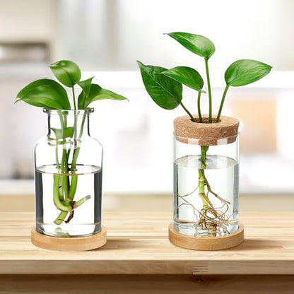 Layhit 4 Pcs Plants Propagation Stations vases Glass Planters with Wooden Lid and Bamboo Stand for Hydroponic Plants Gardening Gifts for Women Mom Home Office Tabletop Decoration(Wide Mouth Style) - style: Beautiful Home Decorations