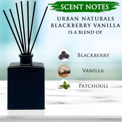 Reed Diffuser Set, BlackBerry Vanilla - Bathroom Shelf Décor | Ripe Blackberries, Warm Vanilla & Patchouli, 5 ounce Sleek Black Rectangular Refillable Glass Bottle, Made in the USA - color: Blackberry Vanilla