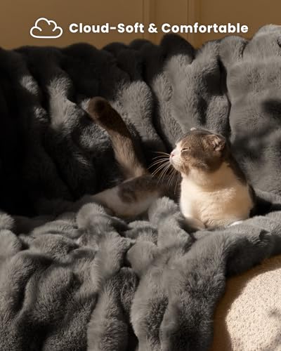 Ultra Soft Cozy Faux Fur Throw Blanket, Fuzzy Plush Thick Bubble Blanket, Oversize Luxury Fluffy Blanket for Couch, Bed, and Living Room, 60x80 Inches, Dark Grey Taupe - color: Bubble Dark Grey, size: Twin