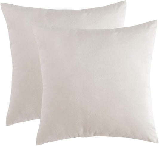 RainRoad Cream Throw Pillows Covers 20x20Inch for Couch Bed,Velvet Set of 2 | Velvet Decorative Soft Square Sofa pillowcase - color: Cream, size: 20" x 20" (Pack of 2)