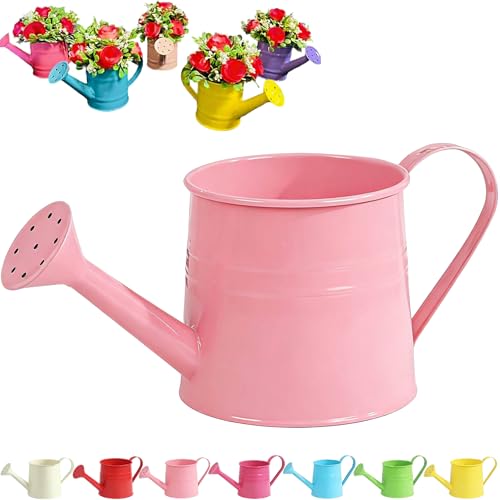 Tinplate Watering Kettle 1L, Mini Metal Watering Can with Long Spout and Handle, Vintage Flower Sprinkling Can for Indoor Plants, Patio and Garden Use (Pink-A04) - color: Pink-a04