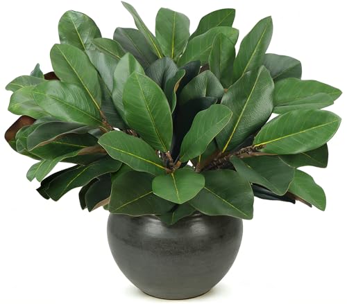 6 PCS 22" Magnolia Leaves Artificial Greenery Stems | 3D Real Touch, Faux Magnolia Branches, Fake Bird of Paradise, Decorative Plants for Vase Kitchen Office Table Home Decor - color: 6pcs Magnolia Leaves