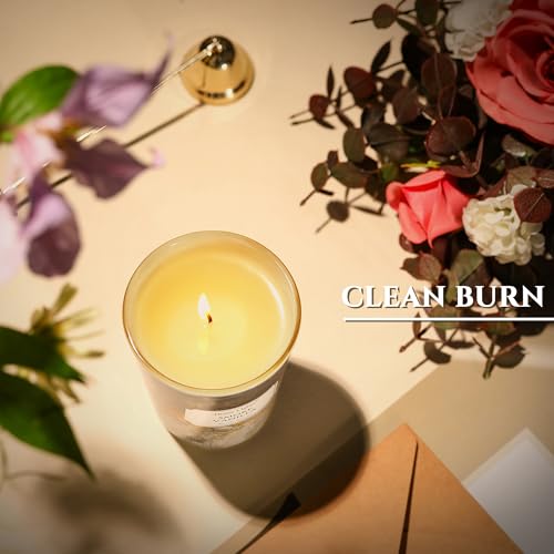 HomeLights Large jar Candle | 1-Wick Long-Lasting Scented Candles, 6.7oz Natural Soy Wax Candle for Home Scented, Industrial Chic Gifts for Women & Men, Smoke Vanilla - color: Smoke Vanilla