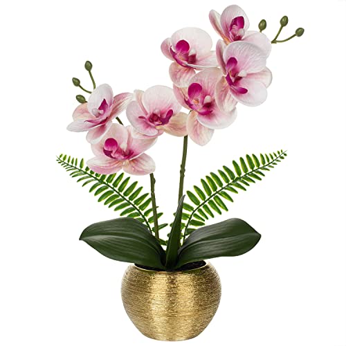 Briful 13" Small Artificial Orchid Flowers in Gold Ceramic Pot, Light Pink Faux Phalaenopsis Silk Orchid Arrangement Fake Orchid for Bathroom Vanity Bedroom Office Desk Shelf Nightstand Home Decor - color: Light Pink Orchids Gold Vase
