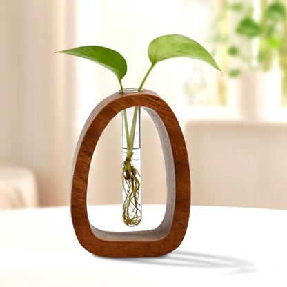 Solid Wood Frame Glass Test Tube Vase Desk Hydroponic Plant,Modern Decorative Hydrophilic Plants Vases,Mini Propagation Station for Hydroponic Plants,Desktop Home Office Decor