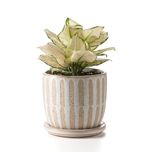 Ceramic Flower Pots Indoor-Outdoor: 5.75 Inch Planters with Drainage Holes & Saucer - Modern Decorative Plant Pots Ceramic for Home Gardeners (Striped) - color: Striped, size: 5.75 inch