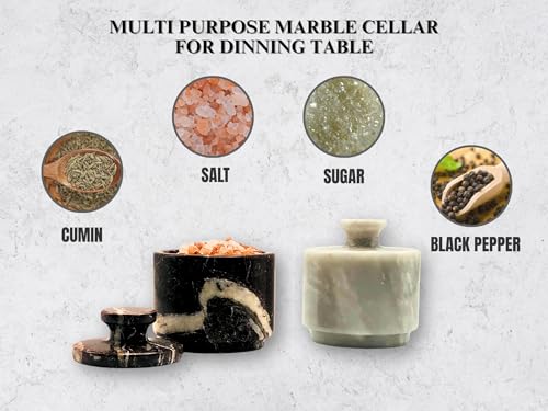 Marble Salt Cellar with Lid 2 Pack - Stone Salt Container for Countertop, Salt Box Keeper for Kitchen Counter, 3.5 oz OceanicX Marble Cellar Set (White Red) - color: White Red Zebra