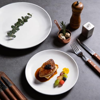 Restaurant Value, Stoneware Coupe Shape Plate 9", Matte White, Case of 24 - color: Matte White, size: Plate 9"