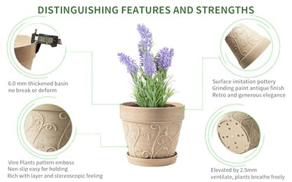 Indoor Plant Pots and Succulent Tools