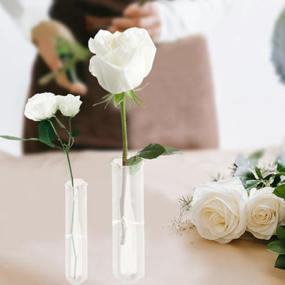 11 Pack Clear Glass Test Tubes Plant Propagation Station, 3 Sizes Wall Hanging and Desktop Glass Plant Propagation Station Hydroponic Vases for Home and Office Decor, Round Bottom