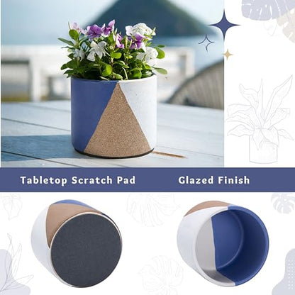 D'vine Dev 2-Pack Cachepot with Clear Pot, 4.5 in, Cobalt Canyon, 93-V-B-3 | Dual-Pot System, Root Visibility, Bottom Watering Support, Enhanced Drainage, Artistic Stoneware Design, Easy Plant Care - color: Cobalt Canyon, size: 4.5” Cachepot + 4“ Clear Gr