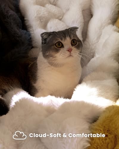 Ultra Soft Cozy Faux Fur Throw Blanket, Fuzzy Plush Thick Bubble Blanket, Luxury Fluffy Blanket for Couch, Sofa, Bedroom, and Living Room, 50x60 Inches, Cream White - color: Cream White, size: Throw