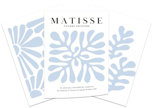 HNNXAR Blue Matisse Poster Wall Art Set Of 3 Light Blue Boho Floral Prints Flower Market Canvas Picture Abstract Vintage Plant Painting Wall Decor Aesthetic For Living Room Bedroom 12x16 In Unframed - color: Light Blue, size: 12"x16" Poster