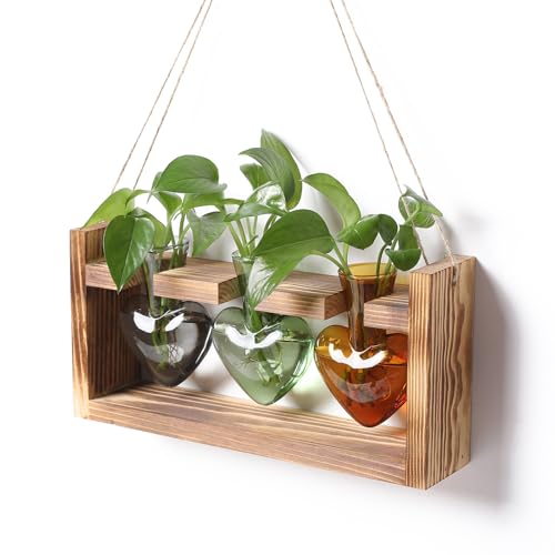Plant Terrarium Propagation Stations Hydroponics | Home Garden Decoration Gift for Women with Wooden Stand Heart Shaped Colored Glass Vase - color: Color 4