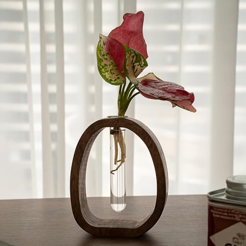Modern Wooden Glass Test Tube Vase - Desk Plant Decor, Suitable for Home and Office Use - size: Large Single Tube