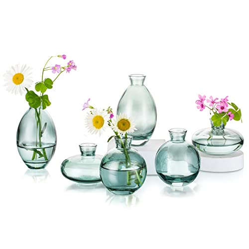 Glass Bud Vases Set of 6, Hewory Cute Green Small Vases Handmade, Mini Glass Flower Vase for Floral Arrangements, Tiny Centerpiece for Home Office Wedding Party Events Table Decor (Not Include Flower) - color: Green, size: 2sets (6pcs)