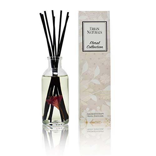 Reed Diffuser Set, Honeysuckle & Jasmine - Bathroom Décor | Hyacinth, Cassis, Neroli & Geranium, Long Lasting Air Freshener for the Bedroom, Bathroom or Office, Made in the USA - color: Honeysuckle & Jasmine