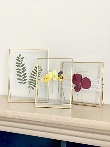 Beedecor Double Glass Frame for Pressed Flowers, Leaf and Artwork Set of 3 Pressed Flower Frames with Stand - 6x6, 5x7 and 6x8 Gold Standing Square Metal Picture Frames, Tabletop Clear Floating Pressed Glass Frame, Home Decor Photo Display (Gold, Set of 3