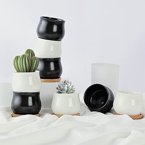 SHECIPIN 12 Pack Succulent Plant Pot, Mini 2.6 inch Ceramic Flower Planter Pot with Bamboo Tray, Small Pots for Plants, Plants Not Included （White, Black） - color: Black,white