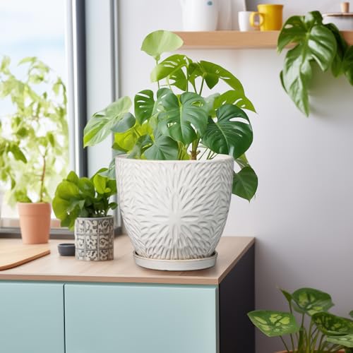 G EPGardening 8 Inch Ceramic Plant Pot with Drainage Hole and Saucer Round Planter Pot for Indoor Outdoor Plants Modern Large Flower Pot White - size: 8 Inch