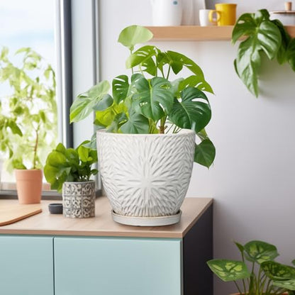 G EPGardening 8 Inch Ceramic Plant Pot with Drainage Hole and Saucer Round Planter Pot for Indoor Outdoor Plants Modern Large Flower Pot White - size: 8 Inch