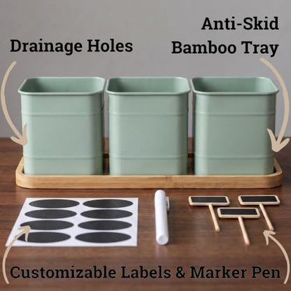 Herb Planter Indoor, 3-pc Herb Pots w/ Drainage Holes, Bamboo Tray & Labels | Iron Herb Pots, Varnished Bamboo Tray with Anti-Skid Base, Customizable Oval Sticker and Stick Labels & Chalkboard Marker Pen - color: Sage Green