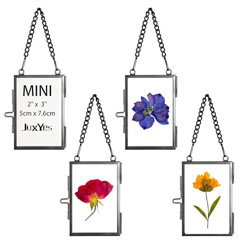 JUXYES 2x3 Hanging Mini Double Glass Picture Pressed Flower Frame Ornament | 4 Pack Wallet Size Tiny Frame Ornament for Xmas Tree Party Wall Decor, Small Black Brass Floating Display Frame with Chain - color: Black, size: Vertical