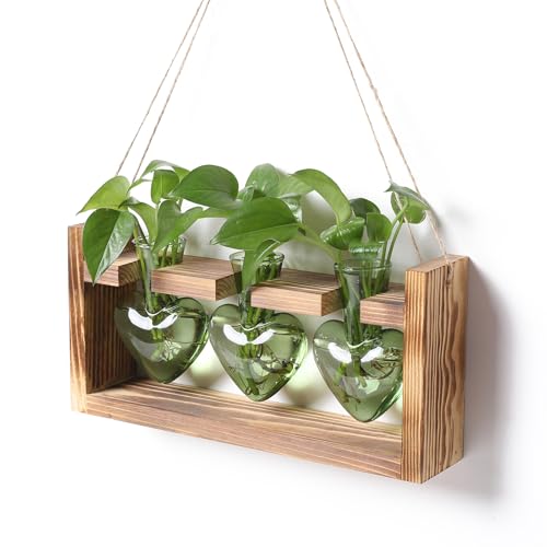 Plant Terrarium Propagation Stations Hydroponics | Home Garden Decoration Gift for Women with Wooden Stand Heart Shaped Colored Glass Vase - color: Green