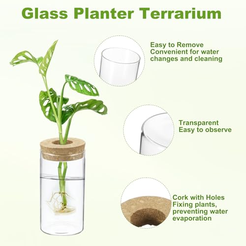 M METERXITY 1 Pack Glass Planter Terrarium with Wooden Cover, Desktop Plant Propagation Station Clear Vase for Hydroponic Plants Propagation/Home Garden Decor/Plant Lover [2.56'' x 4.72''] - size: 2.56'' x 4.72''