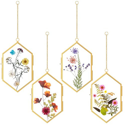 Qunclay 4 Pcs Floating Flower Frame Hanging Pressed Flower Frame DIY Hexagon Glass with Chain Double Floating Picture Geometric Wall Decor for Picture in Home Gallery Gradution