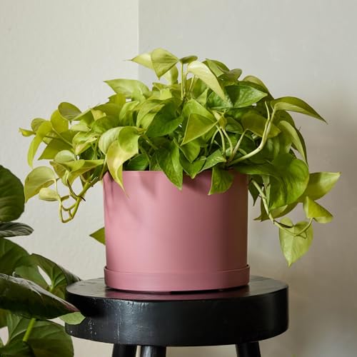 Bloem Mathers 8" Plastic Planter - Modern Indoor Pot with Drainage Hole and Saucer Tray, Dusty Rose - color: Dusty Rose, size: 8 Inches