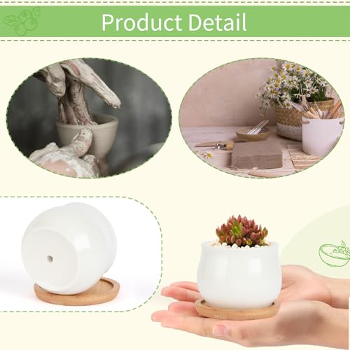 SHECIPIN 2 Pack Succulent Pots, 2.5 Inch Mini Ceramic Pots for Flower or Cactus Plants with Drainage Hole,Plants Not Included (White) - color: 2 Pack White Mini Pots