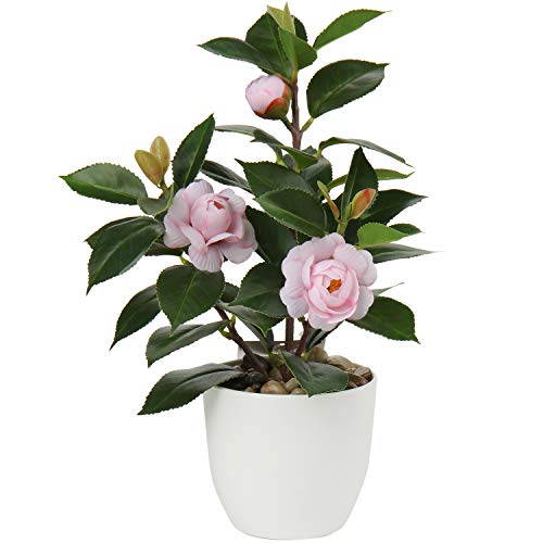 Briful Artificial Plants Mini Camellia Potted Fake Plants Small Faux Plastic Plants Desk Plant Artificial Flowers with Vase for Home Office Desk Kitchen Garden Indoor Decor - color: Style #6