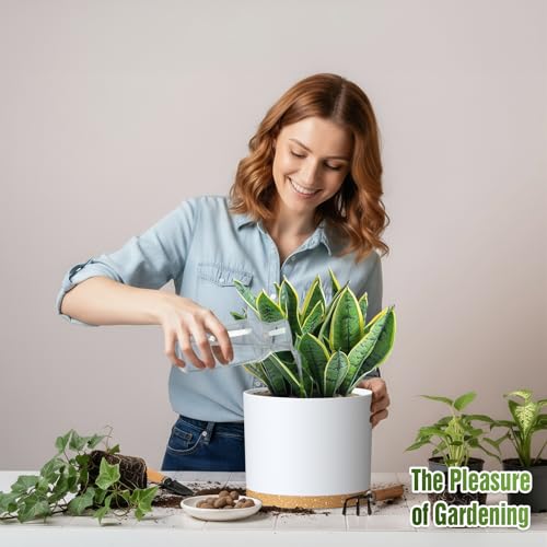 10/9/8 Inch Plant Pots 3 Pack, with Drainage Hole & Saucers | Cylindrical plastic planters with drainage holes & saucers. Modern matte finish, lightweight & durable for indoor/outdoor use - color: Matte White&brown