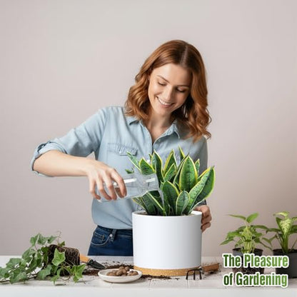 10/9/8 Inch Plant Pots 3 Pack, with Drainage Hole & Saucers | Cylindrical plastic planters with drainage holes & saucers. Modern matte finish, lightweight & durable for indoor/outdoor use - color: Matte White&brown