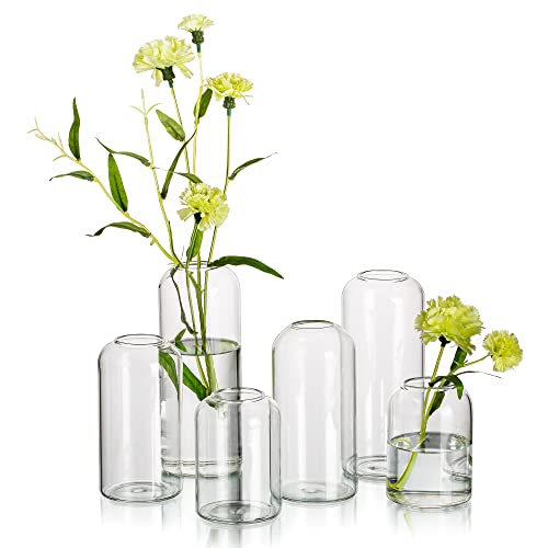 Hewory Glass Clear Modern Vase, Set of 6 - Small Bud Vases for Flowers, Elegant Home Decor Floral Arrangements, Wedding Party Events Centerpieces | Mini Centerpieces for Wedding, Party, Events, Floral Arrangement for Table, Home Decor, Highball, Simple, M