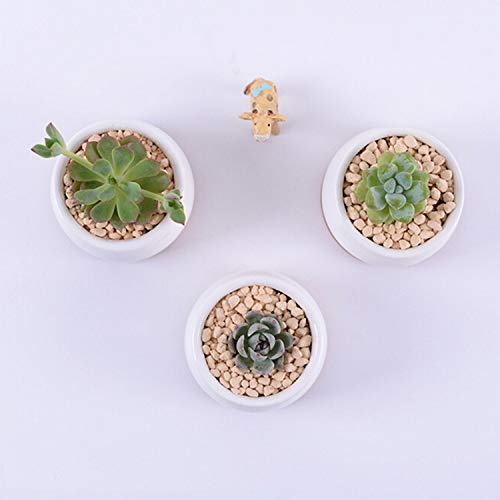 Succluent Pots ，Small Flower Pots Planter Pots with Drinage,Ceramic Flowers Pots with Bamboo Tray for Cactus(12 Pack | Ceramic Flowers Pots with Bamboo Tray for Cactus,Planter Pots for Home,Kitchen